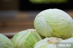 Продукты питания. Пермь, капуста, овощи, продукты, витрины, стелажи, магазин, качан