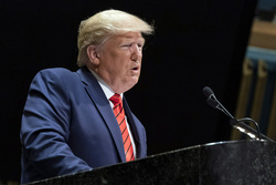 Дональд Трамп. stock, Дональд Трамп, stock