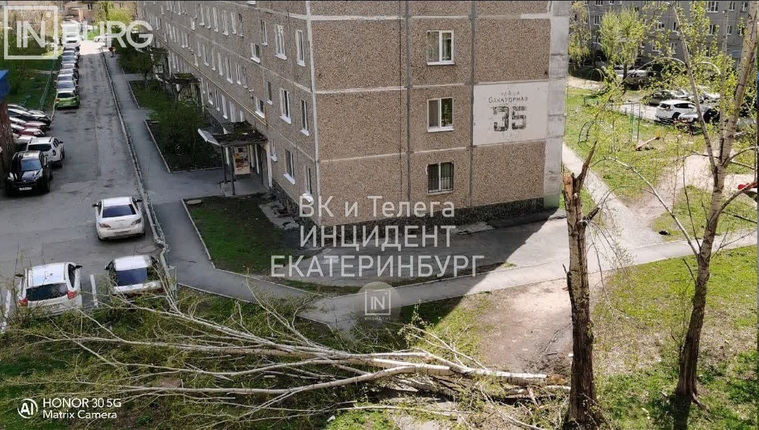 Ветром сломало дерево на Санаторной, 35