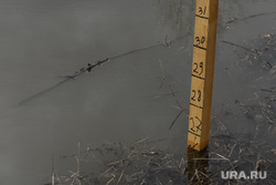Уровень воды в Тобольске стал ближе к критической отметке. Фото