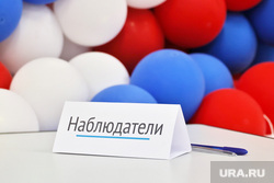 Выборы 2024. Курган, наблюдатели, голосование, наблюдатели выборов, выборы 2024