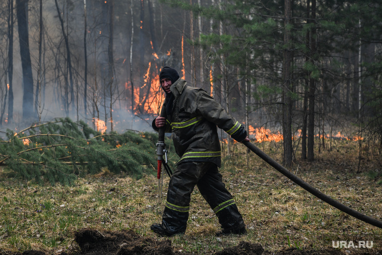 Лесные пожары, клипарт. Екатеринбург