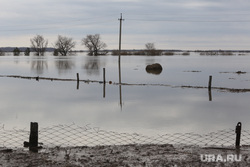 Глава тюменского района раскрыл, когда вода отступит от села Большой Карагай