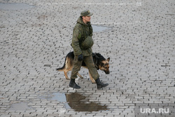 Ночная репетиция Парада Победы. Екатеринбург, военные, патруль, минирование, саперы, поиск, овчарка, бомба, солдат