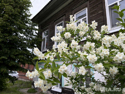 Виды города. Кунгур, лето в городе, цветение яблони