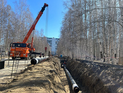 Пересмотр проекта реконструкции теплотрассы позволил избежать вырубки 190 деревьев