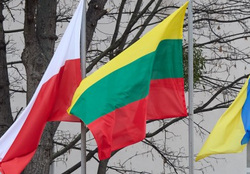 Официальный сайт президента Украины.stock Москва, флаг украины, украинский флаг, флаг литвы, флаг польши, польский флаг, литовский флаг,  stock