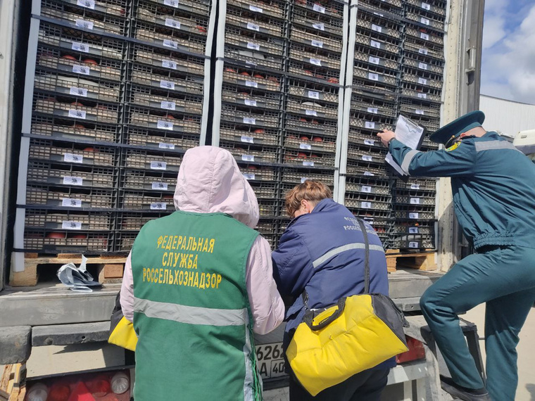 Всего за неделю обследовали 66 партий растительных грузов 