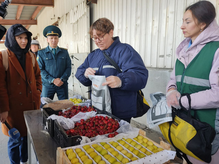Вся продукция допущена к торговле