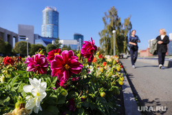 Городские зарисовки. Екатеринбург, прогулка, клумбы с цветами, цветы