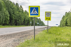  Указатели, таблички. Пермский край, июнь 2021, пешеходный переход, трасса, 112