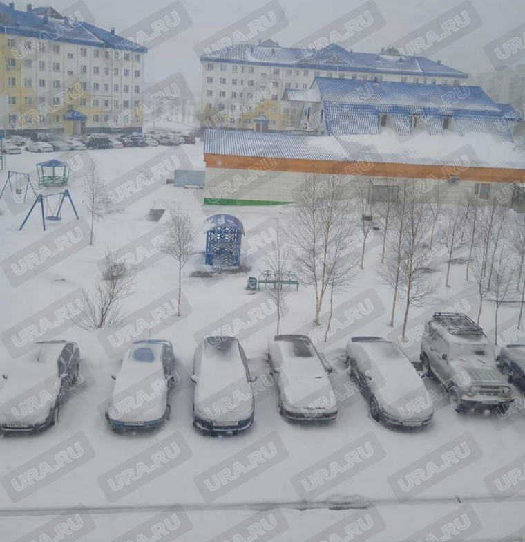 Майский снег в Радужном