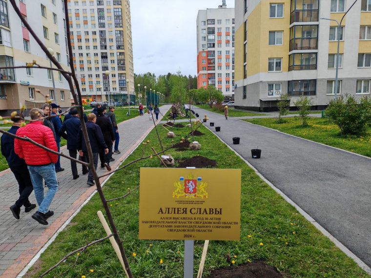Всего депутаты высадили 30 лип