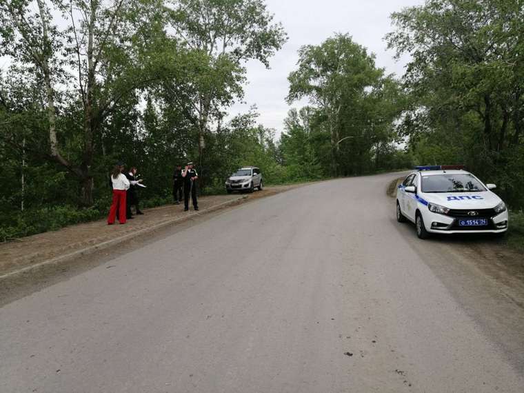 В обстоятельствах разбираются инвесторы ГАИ