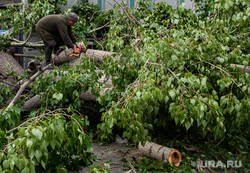 Последствия урагана в Екатеринбурге, улица куйбышева, распил дерева, екатеринбург , ураган, циклон, последствия урагана, устранение последствий, дерево
