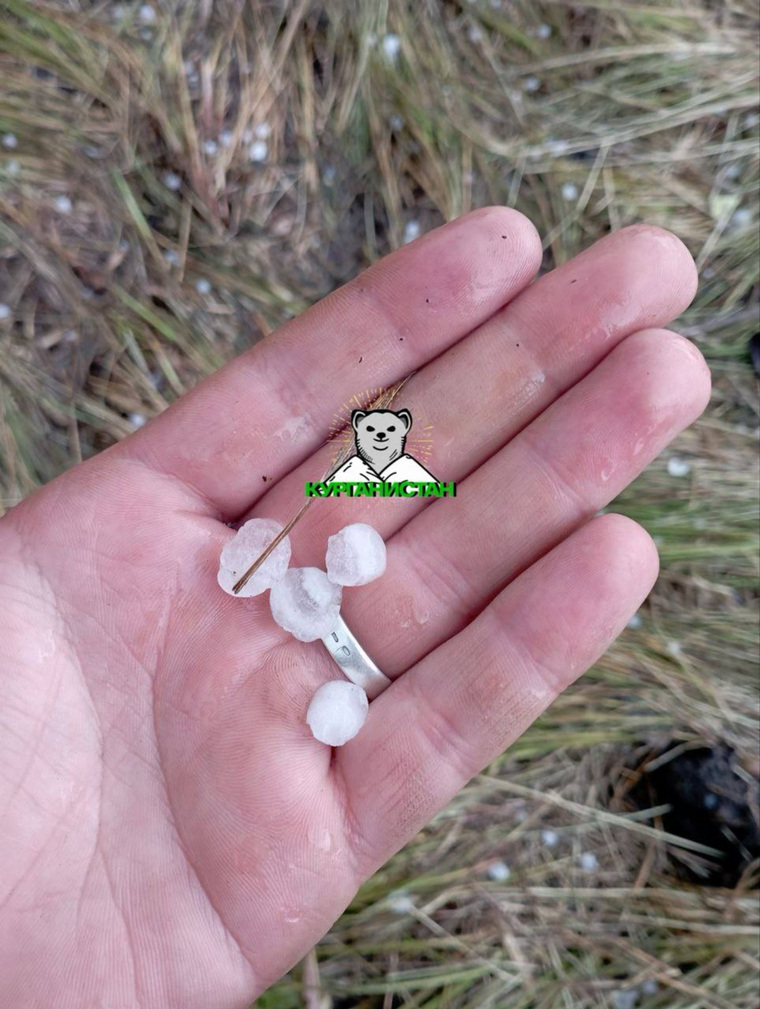 Курганцы сфотографировали град