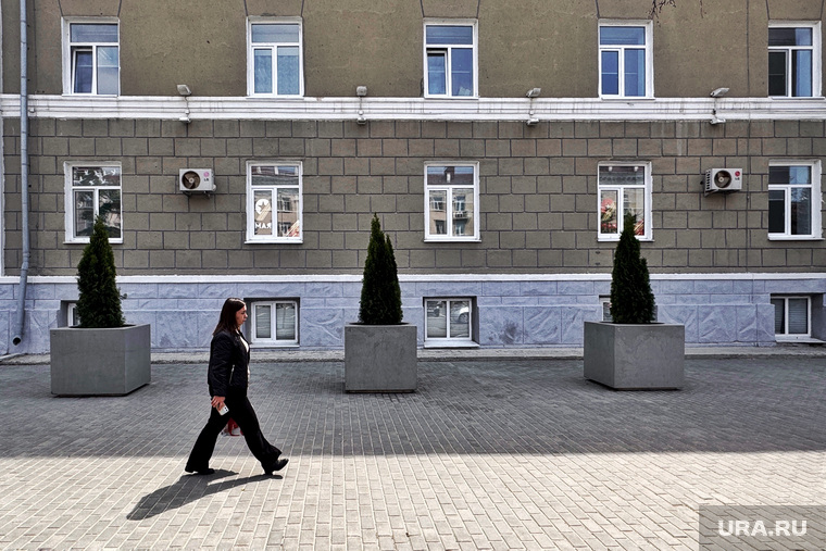 Некоторые деревья высадили в тени