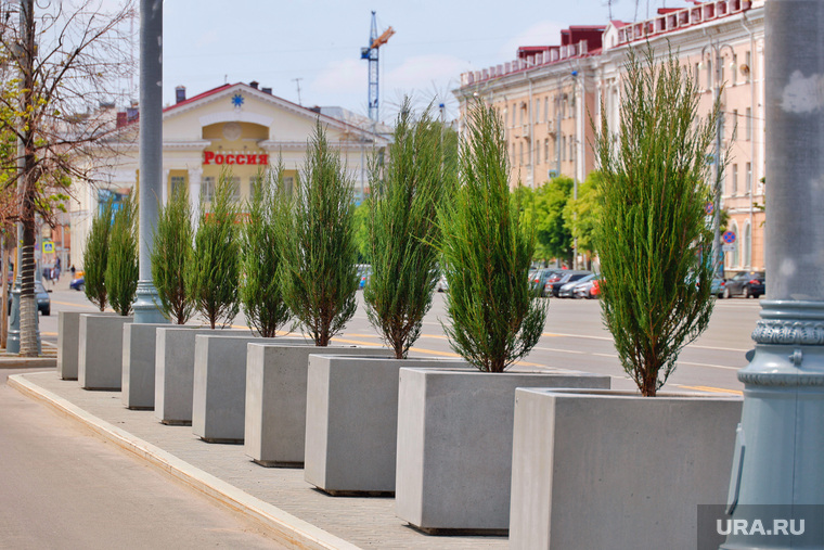 Возле площади власти высадили не только туи