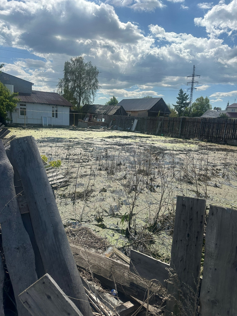 Огороды затоплены