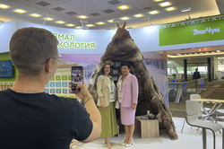Площадка привлекла внимание множества гостей форума