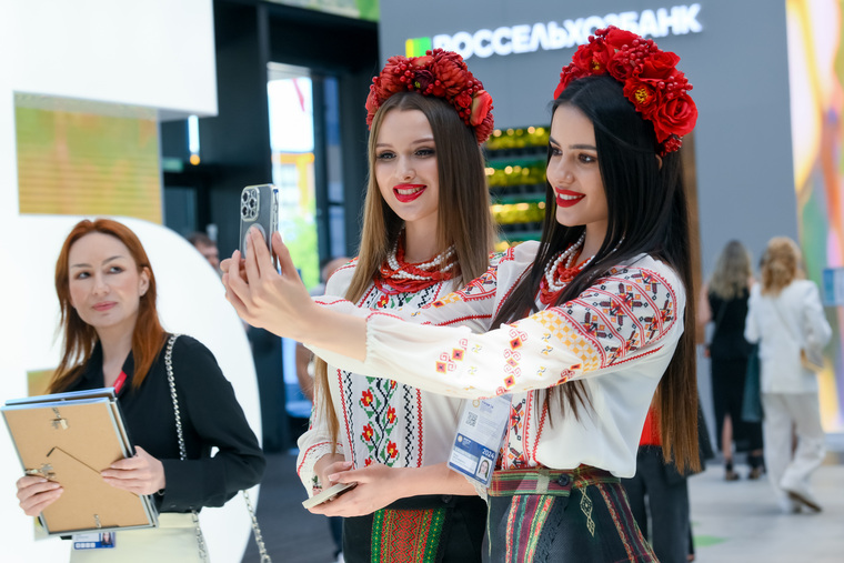 файл