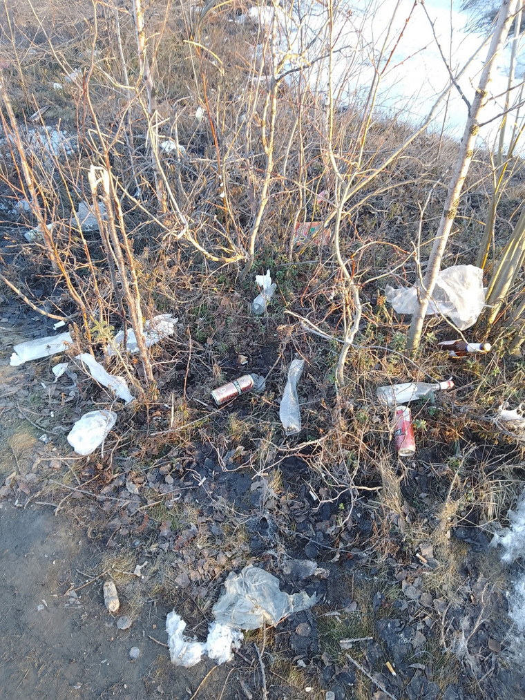Вахтовик указал салехардцам на свалку мусора