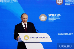 Владимир Путин на Пленарной сессии ПМЭФ 2024. Санкт-Петербург