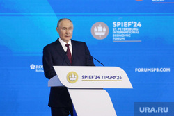 Владимир Путин на Пленарной сессии ПМЭФ 2024. Санкт-Петербург