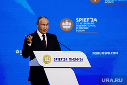 Владимир Путин на Пленарной сессии ПМЭФ 2024. Санкт-Петербург
