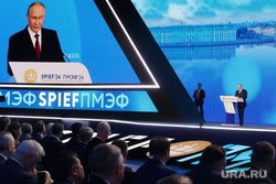Владимир Путин на Пленарной сессии ПМЭФ 2024. Санкт-Петербург