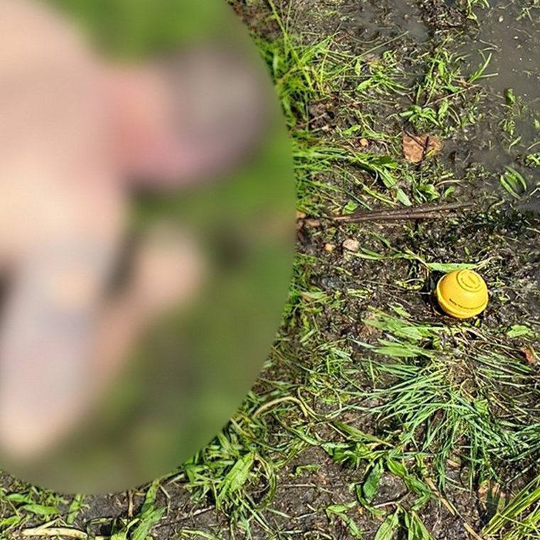 Погибшего вынесли на берег