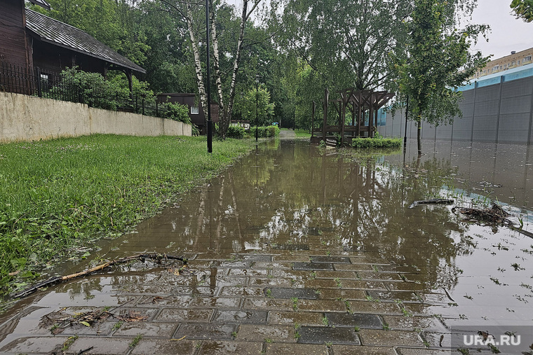 Последствия дождя в Москве