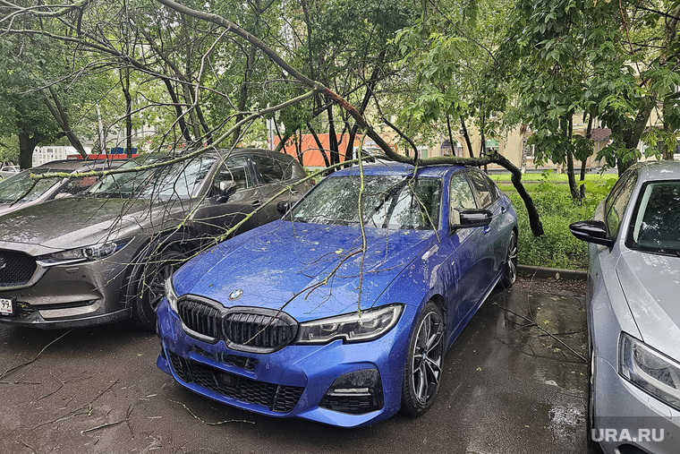 Последствия дождя в Москве