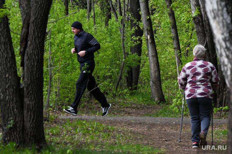 Бег и ходьба на природе помогут вернуть эмоциональное равновесие