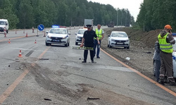 Силовики организовали проверку