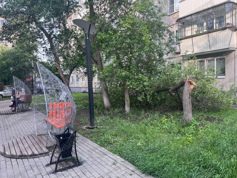 Из-за сильного ветра в Кургане сломались деревья в центре города