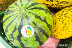 Фрукты. Челябинск, продукты, фрукты, супермаркет, арбуз, магазин