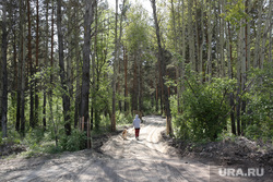 Парк Комарово. Тюмень , парк комарово