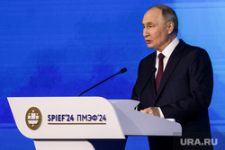 Владимир Путин на пленарной сессии Петербургского международного экономического форума ПМЭФ 2024. Санкт-Петербург, путин владимир