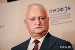 Панельная сессия на Петербургском международном экономическом форуме (ПМЭФ-2024) с участием Карин Кнайсль, Игоря Додона, Кирилла Шамалова. День второй., додон игорь