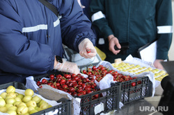 Таможня, фрукты. Челябинск, продукты, таможня, фрукты, продовольствие, ягоды, черешня, таможенный пост, фитосанитарный контроль, россельзхознадзор