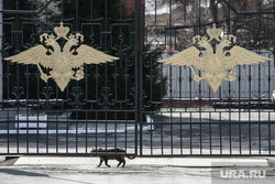 Поезд Минобороны «Сила в правде». Екатеринбург , ворота, кошка, транспортная полиция, управление мвд на транспорте