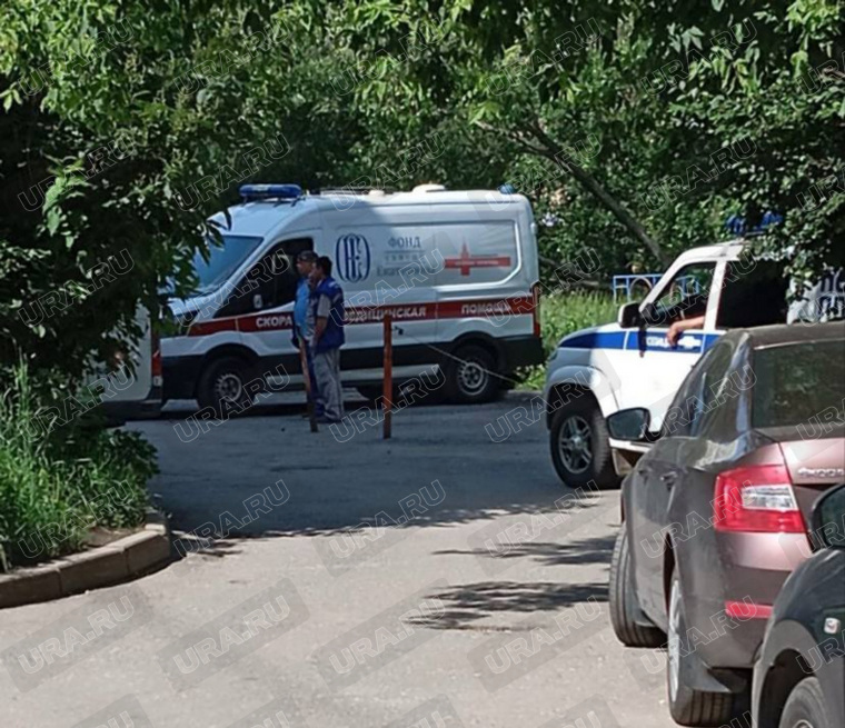 Происшествие случилось на Шефской