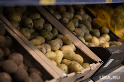 Продукты питания. Пермь, овощи, продукты, картофель, витрины, стелажи, картошка, магазин