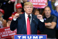 Дональд Трамп. Stock, Дональд Трамп, stock