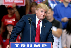 Дональд Трамп. Stock, Дональд Трамп, stock