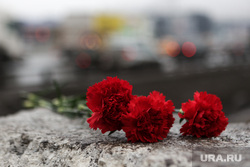 Крокус сити холл днем после террористического акта. Мемориал по погибшим в Крокус сити холле. Москва, траур, гвоздики, цветы, дорога, память, поминовение, крокус сити холл