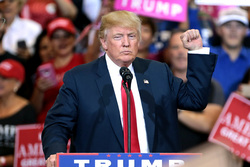 Дональд Трамп. Stock, Дональд Трамп, stock