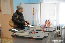 Выборы2. Челябинск, выборы, выборы 2024