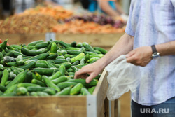 Торговая сеть «Метрополис». Курган, продукты, огурцы, корзина с продуктами, магазин, питание